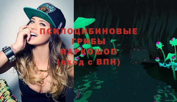 гидра Белокуриха