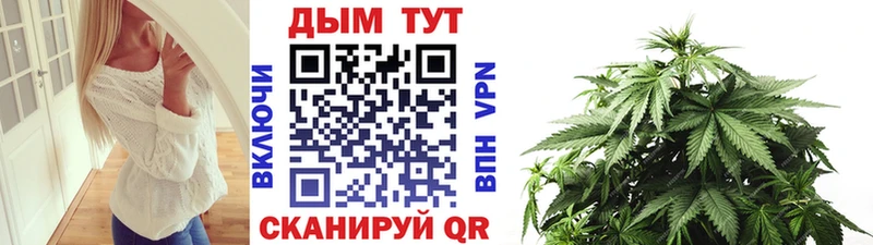 закладки  Владивосток  Конопля VHQ 